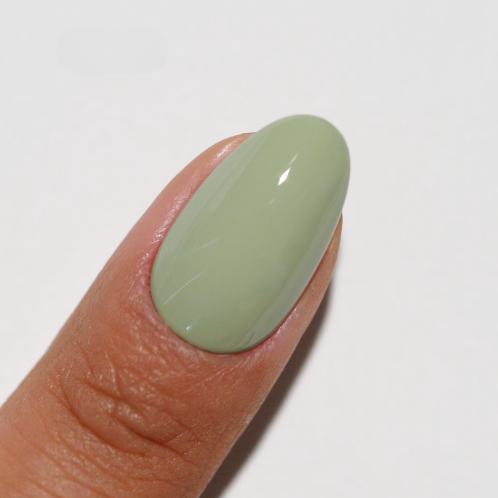 Foggy Fern DIVA #277 – DND Gel